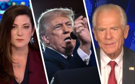 Peter Navarro says gas prices don't define Trump's economic record