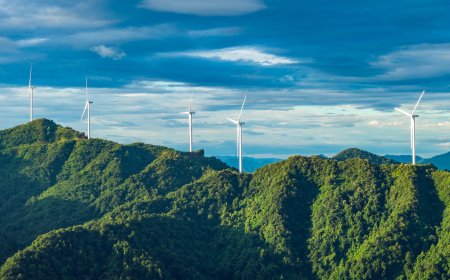 The Biggest Problems With Wind Farms Could Actually Be Their Greatest Strength