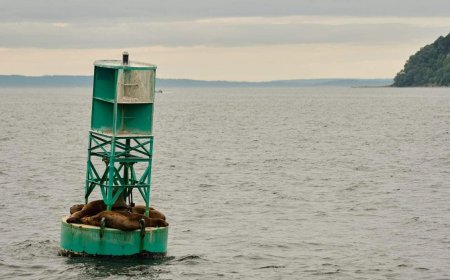 Canadian buoy found on shore of Irish island after journey across Atlantic