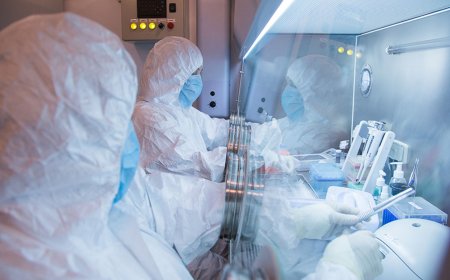 Russia claims there is no epidemic risk after death of plague institute worker