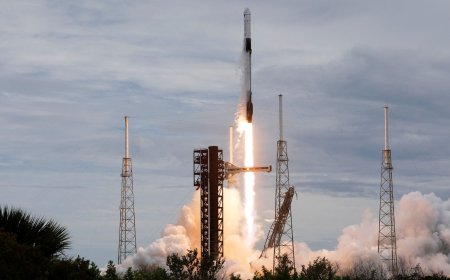 SpaceX-backer urges ministers to overhaul rules amid Saba raid