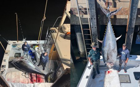 New Hampshire fishermen smash state record by snagging insane 1,116-pound bluefin tuna
