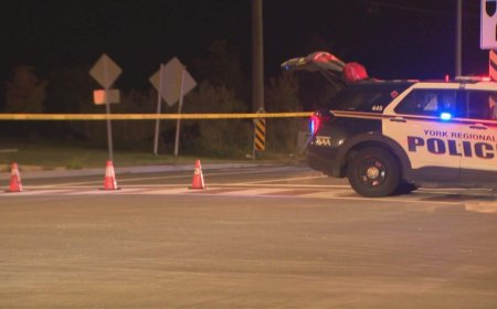Police seek witnesses after Vaughan hit-and-run that killed woman