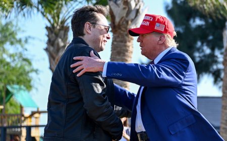 FIRST ON FOX: Elon Musk heads back to White House as Trump marks prestigious first of presidency