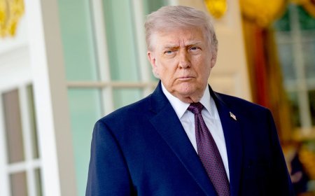 Dems’ latest Trump attack backfires as frequent critics refuse to play along