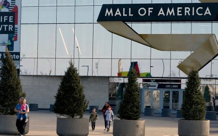 Planned gun attack on America's largest mall thwarted 'after teen bought assault rifle'