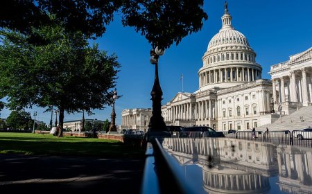 Dems optimistic about Senate as GOP remains confident in Trump’s base