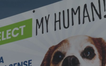 Municipal election candidates turn to humour, stunts and social media to stand out
