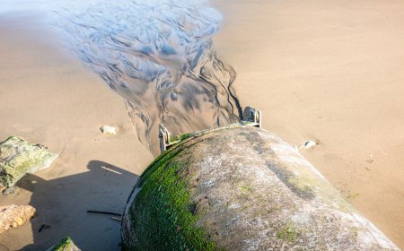 Water companies failed to report more than 50,000 sewage spills in time, charity claims