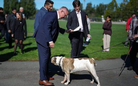 B.C. Conservatives back in battleground Surrey on election trail
