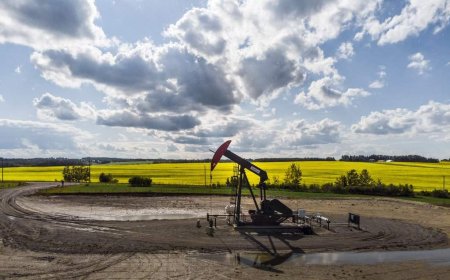 Oilpatch profits vastly outpacing spending — at least for now: Deloitte
