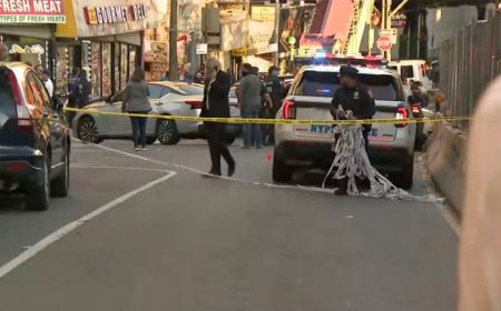 ICE agents involved in Bronx shooting that leaves one person injure: NYPD