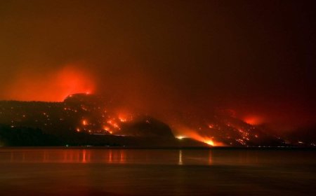 Climate-driven wildfires in Canada could cost future generations trillions: study