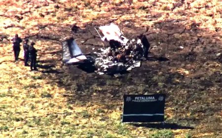 Deadly crash kills two as plane plunges into 'ball of flames' near suburban golf course