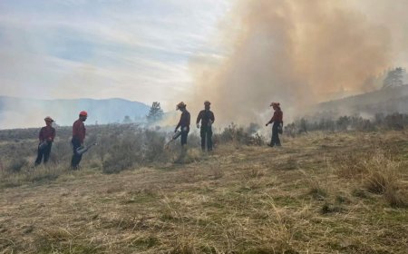 Indigenous cultural burn near Osoyoos revives traditional fire stewardship