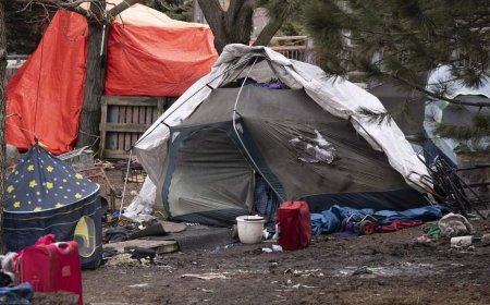 Montreal mayor says city will offer 3,000 spots in emergency shelters for unhoused