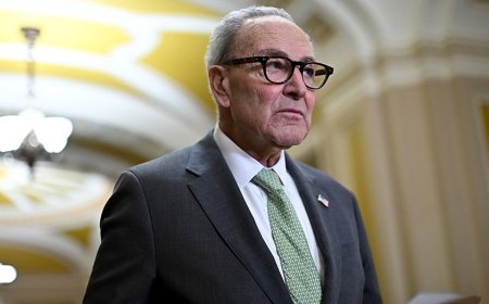 Schumer says he's not going anywhere, but his own candidates aren't ready to back him