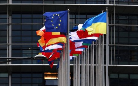 The Hazards of EU Expansion
