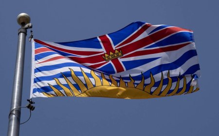 Ousted B.C. Conservative candidate Joachim Agou apologizes for posts deemed racist