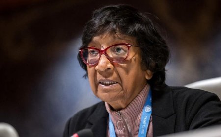 Nobel Peace Prize awarded to UN jurist who accused Israel of committing genocide in Gaza