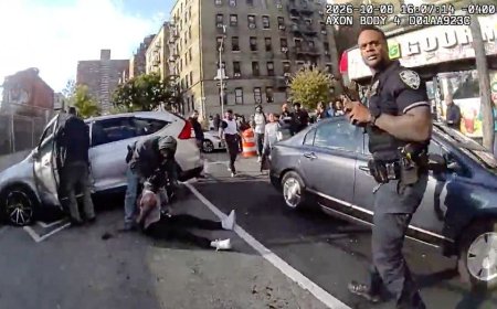 Federal judge blocks deportation of Dominican illegal immigrant shot by ICE during NYC arrest attempt