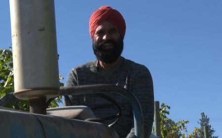 Okanagan growers say crop insurance isn’t keeping up with a changing climate