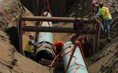 Alberta Court of Appeal says Impact Assessment Act is still unconstitutional