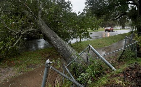 Hurricane Isaias makes landfall, winds up to 105mph