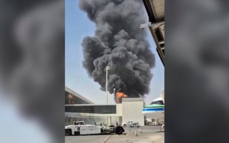 Attack on Saudi airport killed 12 and wounded more than 300: authorities