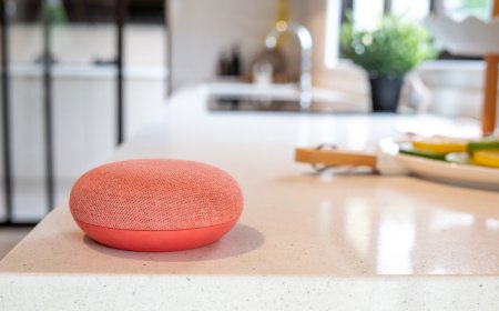 4 Google Home Devices That Work Without A Subscription