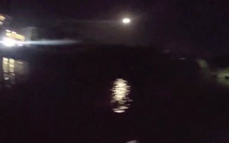 Hero deputy rescues wheelchair-bound grandfather who fell into shark-infested waterway