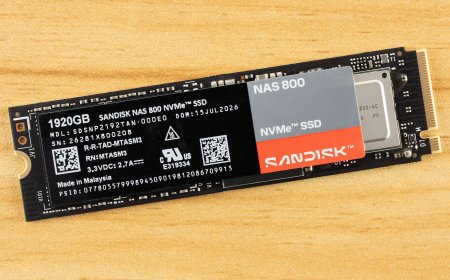 Sandisk NAS 800 1.92TB SSD Review: Endurance at a premium
