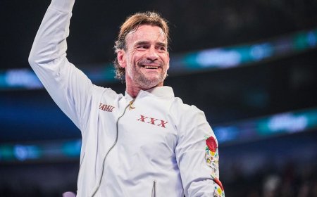 WWE star CM Punk honors late New Found Glory founding member Chad Gilbert at Money in the Bank