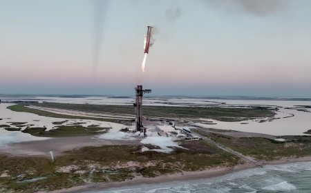 Why SpaceX Wants To Catch Starship Instead Of Giving It Landing Legs