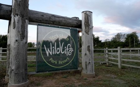 UK wildlife park to remain closed after man's death in tiger enclosure