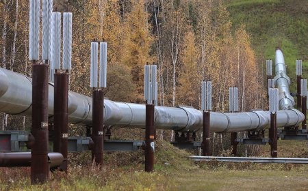 The Iran war didn't make your heating bill this high. Blue-state energy policy did