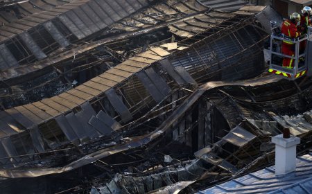 Oldest covered food market in Paris destroyed in fire