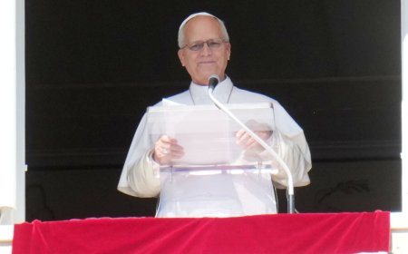 Pope Leo to be admitted to hospital on Tuesday after nodule discovered on his lung