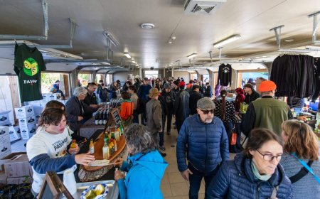 Thousands attend a Quebec festival centred on a little-known tropical-tasting fruit