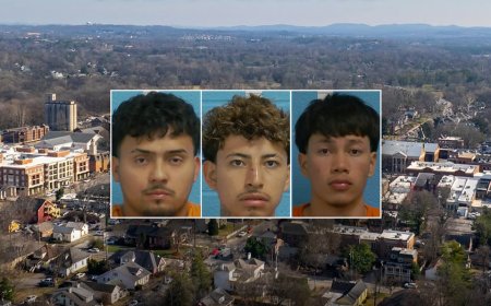 Online marketplace jewelry listing tied to armed robbery in affluent Tennessee city