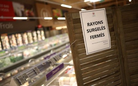 French supermarkets face millions in losses after cyberattack hits refrigerators nationwide