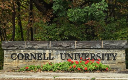 Cornell University bans frat parties after alleged campus gang rape