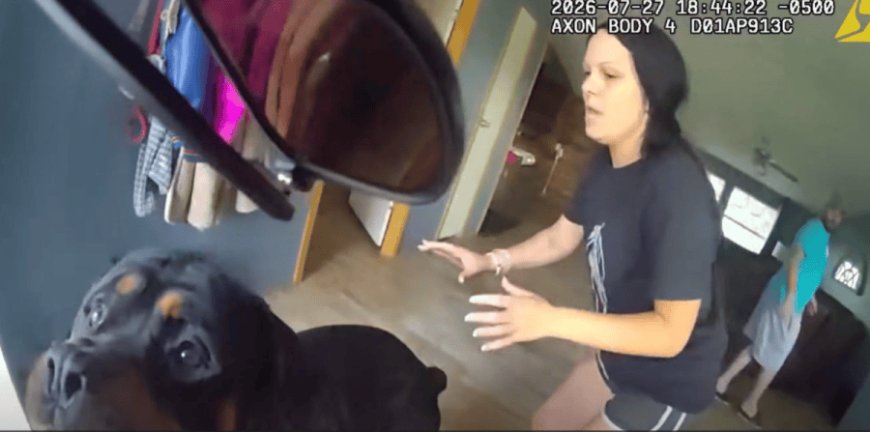 Bodycam video shows moment Arkansas officer shoots family dogs