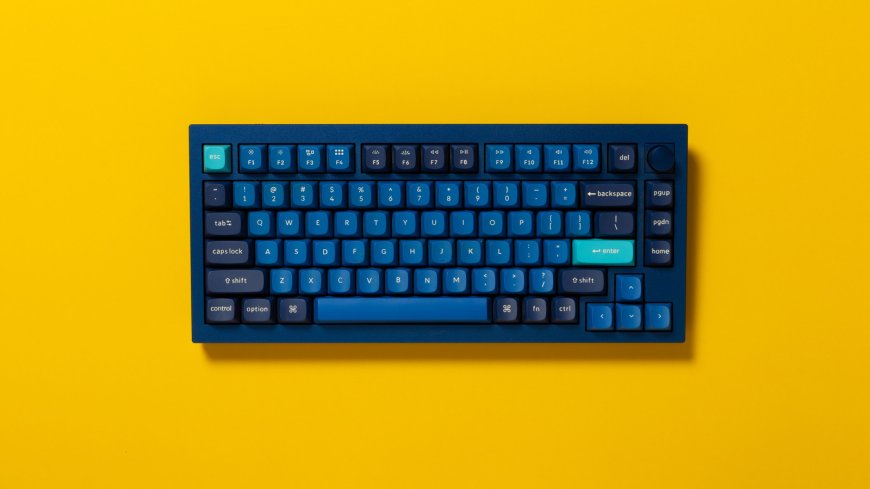 What Does Foam Do In Keyboards?