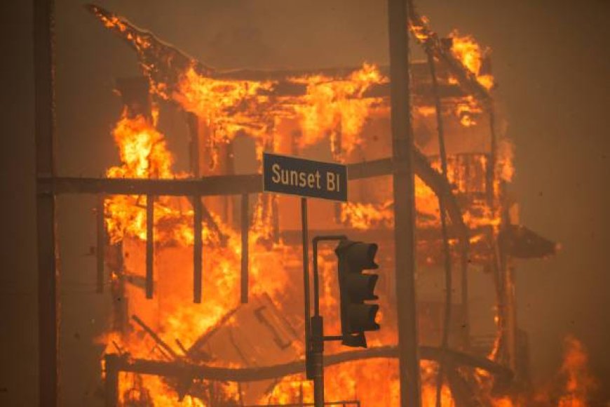 Disorganization, failure to extinguish earlier fire among causes of Palisades fire: Report