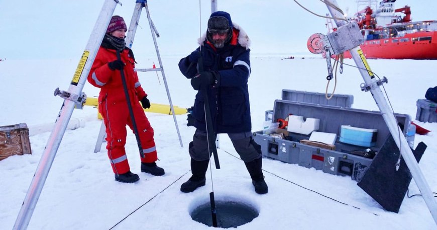 Scientists Discover Evidence of ‘Life-Giving’ Supercontinent Beneath Antarctica