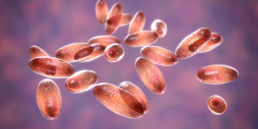 Suspected plague death in Russia prompts State Department monitoring