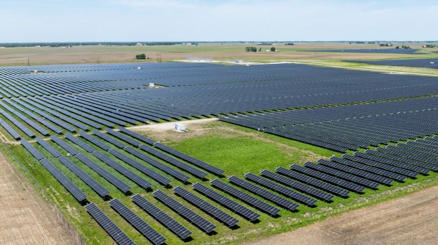 A Microphone Installed On An Illinois Solar Farm Shows How Tech And Nature Can Coexist