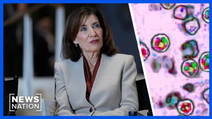 New York declares measles emergency amid outbreak