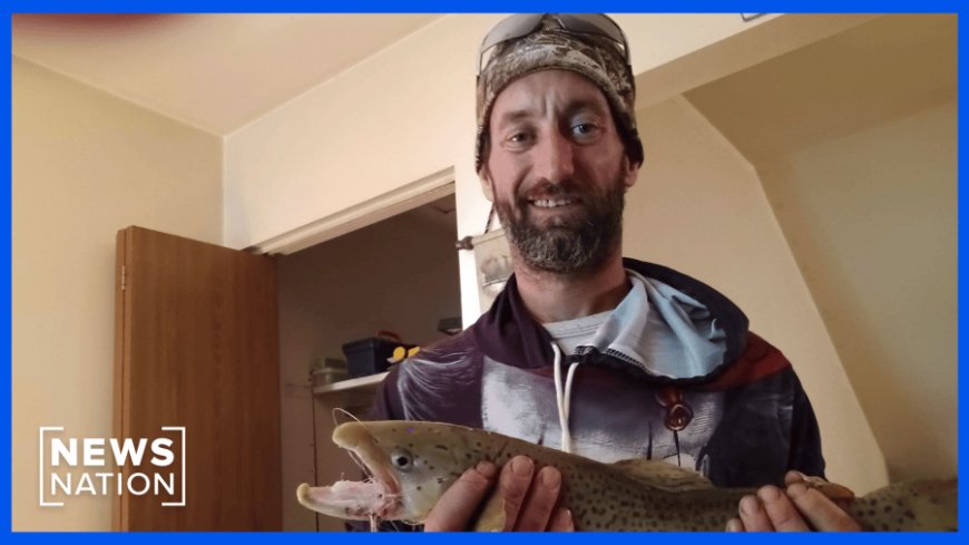 DJ Hamaker disappeared on a fishing trip amid property dispute